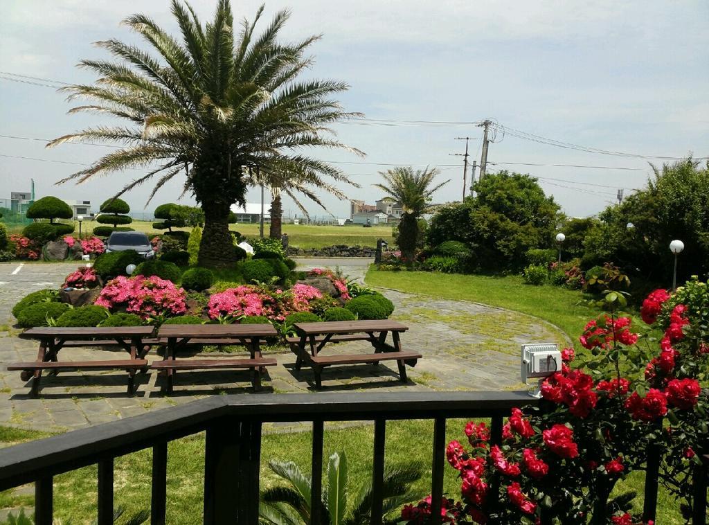 Jeju Again Olle Pension Exterior foto